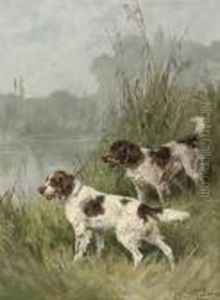 Two English Springer Spaniels On The Watch