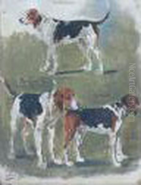 Les Trois Chiens De Meute : Monthabor - Darius - Buridan - view 1