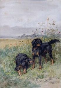 Setters Gordons by Charles Olivier De Penne
