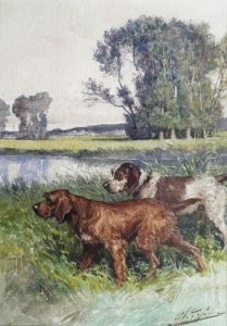 Chiens A L'arret Chiens A L'arret