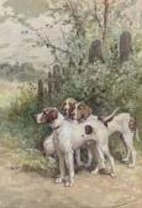 Hounds Waiting