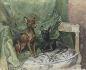 Les Pinschers