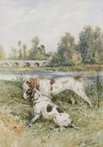 Zwei Jagdhunde Am Fluss.