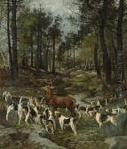 Deer Hunt