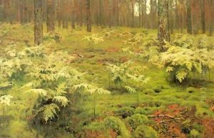 Ferns in a forest 1895