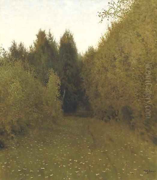 Forest clearing - view 1