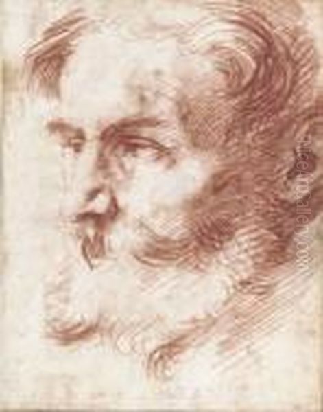 Head Of A Bearded Man, Looking To The Left - view 1