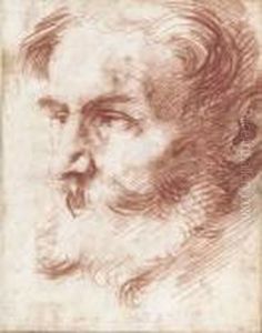 Head Of A Bearded Man, Looking To The Left by Jusepe de Ribera