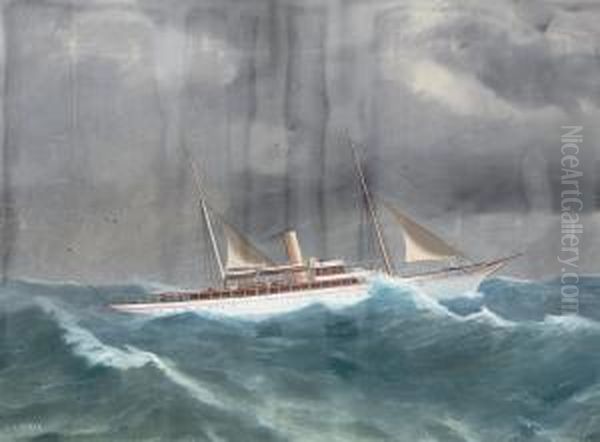 The Steam Yacht
Beryl
Riding The Ocean Swell - view 1