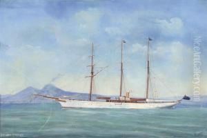 The Steam Yacht 
Lady Torfrida