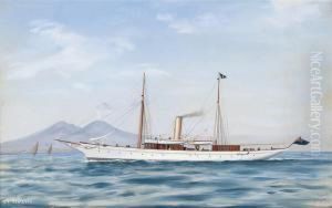 The Steam Yacht 
Schievan