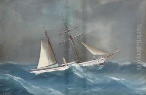 The Steam Yacht