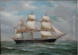 Scylla China