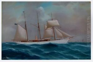 The Steam Yacht 
Lady Torfrida