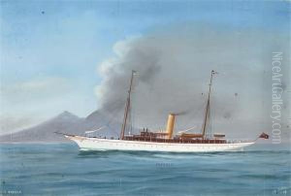 The British Steam Yacht
Emerald
In Neapolitanwaters - view 1