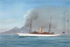 The British Steam Yacht
Emerald
In Neapolitanwaters The British Steam Yacht
Emerald
In Neapolitanwaters