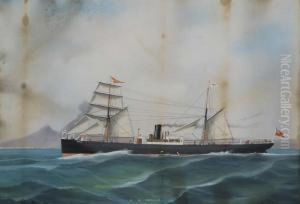 Ritratto Dello S.s. Creole Nelle Acque Di Napoli