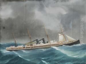 Ritratto Del Piroscafo A Propulsione Mista Austral