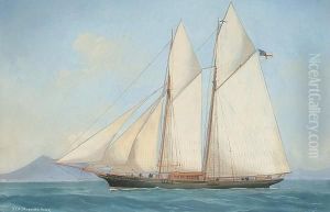 A.y.s. 'morning Star' by Antonio de Simone