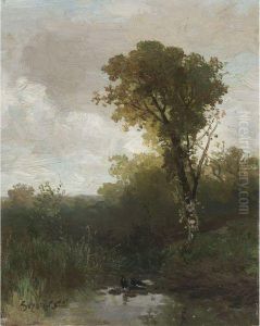 Paysage Paysage