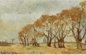 Landscape Landscape