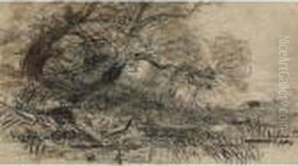 Landscape - view 1