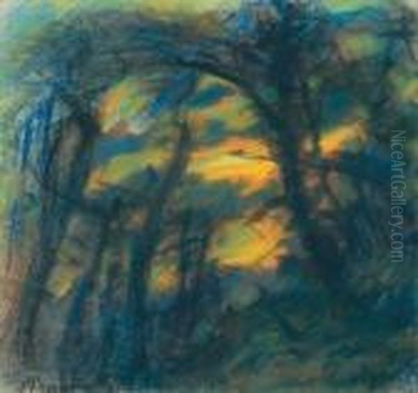 Forest Opening - view 1