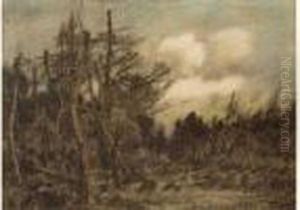 Paysage Paysage