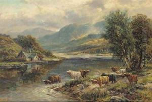 Highland cattle in a mountainous landscape