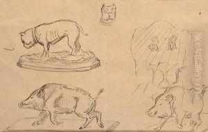 Bulldog And Boar Studies
