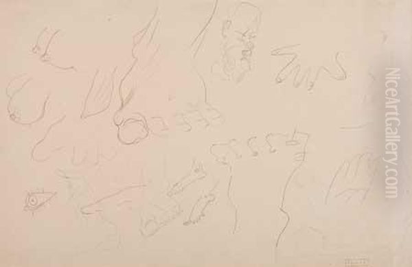 Etudes De Pieds, Seins, Etc - view 1