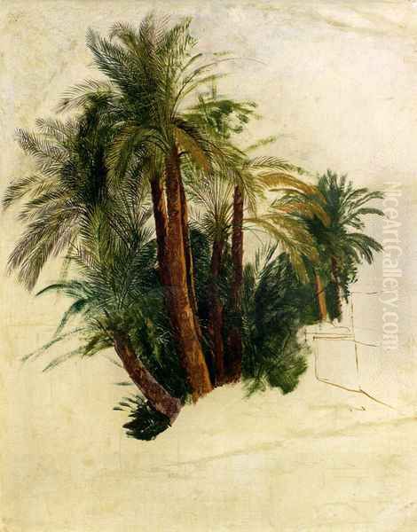 Study Of Palm Trees - view 1
