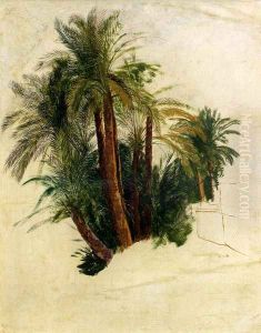 Study Of Palm Trees by Edward Lear