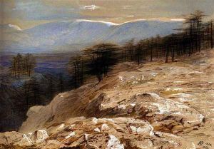 The Cedars Of Lebanon