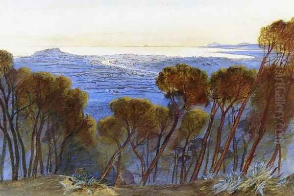 A Distant View of Nice from the Hills - view 1