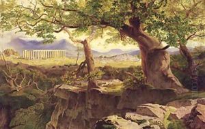 The Temple of Apollo Bassae