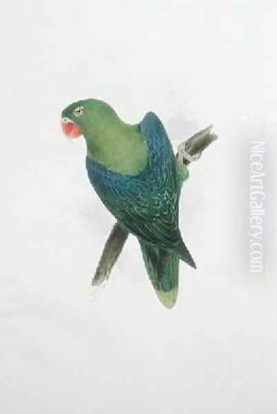 Green Parrot - view 1