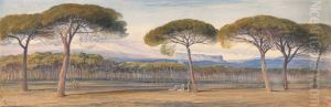 A View of the Pine Woods Above Cannes
