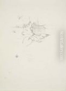 Les Papillons Les Papillons