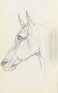 Tete De Cheval
