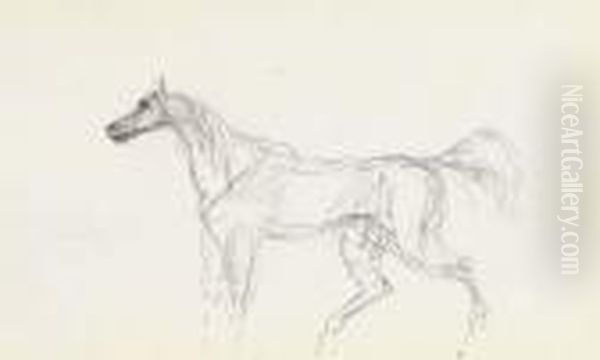 Cheval - view 1