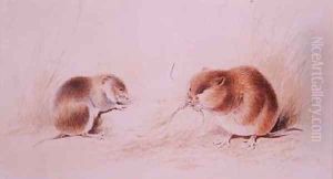 Dormice by Edward Lear