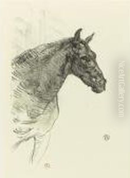 Le Poney Philbert (d. 224; A. 300; W. 284; Adr. 301) - view 1