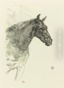 Le Poney Philbert (d. 224; A. 300; W. 284; Adr. 301) by Henri De Toulouse-Lautrec