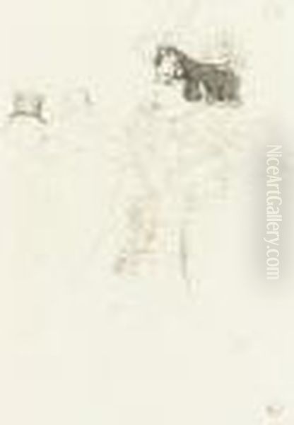Miss May Belfort Au Bar Achille (d. 123; A. 124; W. 119; Adr. 140) - view 1