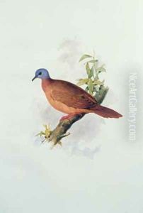 Pigeon-type