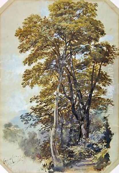 Edward Lear Corpo di Cava - view 1