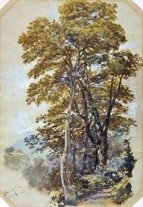 Edward Lear Corpo di Cava by Edward Lear
