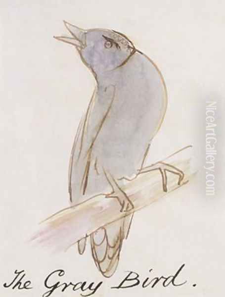 The Gray Bird - view 1