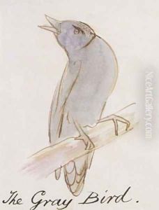 The Gray Bird